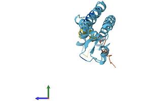 AlphaFold protein structure predicition of Mouse Recombinant Tmco1 Protein, UniprotID Q921L3