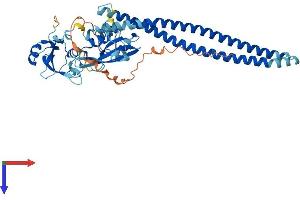 PIK3R3 Protein (AA 1-461) (His tag)