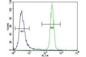 IL-6 antibody flow cytometric analysis of NCI-H460 cells (right histogram) compared to a negative control cell (left histogram). (IL-6 抗体  (AA 27-55))