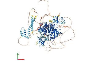 AlphaFold protein structure predicition of Mouse Recombinant Inpp5d Protein, UniprotID Q9ES52 (INPP5D Protein (AA 1-1191) (His tag))