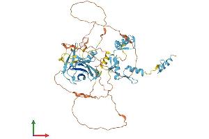 AlphaFold protein structure predicition of Human Recombinant PRDM14 Protein, UniprotID Q9GZV8