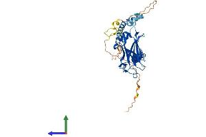 AlphaFold protein structure predicition of Human Recombinant TRAF1 Protein, UniprotID Q13077