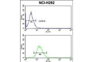 Flow Cytometry (FACS) image for anti-Protein Disulfide Isomerase Family A, Member 3 (PDIA3) (AA 446-475), (C-Term) antibody (ABIN389464)