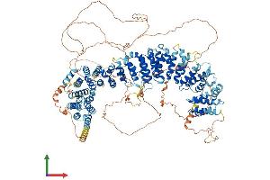 AlphaFold protein structure predicition of Mouse Recombinant Mroh7 Protein, UniprotID A2AVR2