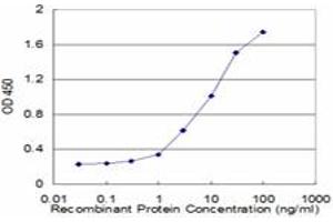 Detection limit for recombinant GST tagged IFNA6 is approximately 0. (IFNA6 抗体  (AA 100-189))