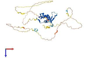 Protein Structure (PS) image for Forkhead Box A3 (FOXA3) (AA 1-350) protein (His tag) (ABIN7553925)