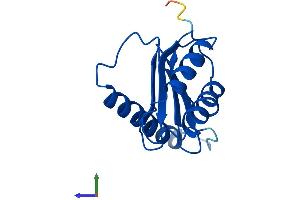 Protein Structure (PS) image for Trafficking Protein Particle Complex 1 (TRAPPC1) (AA 1-145) protein (His tag) (ABIN7557481)