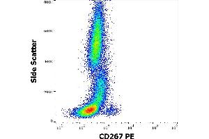 Flow cytometry surface staining pattern of human peripheral whole blood stained using anti-human CD267 (1A1) PE antibody (10 μL reagent / 100 μL of peripheral whole blood). (TACI 抗体  (PE))