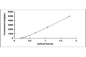 Typical standard curve (MTA2 ELISA 试剂盒)