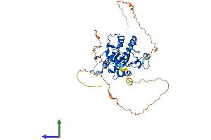 Protein Structure (PS) image for Thymine-DNA Glycosylase (TDG) (AA 1-410) protein (His tag) (ABIN7555761)