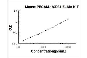 Platelet/endothelial Cell Adhesion Molecule (PECAM1) ELISA Kit