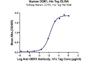 ELISA image for Discoidin Domain Receptor tyrosine Kinase 1 (DDR1) (AA 21-417) protein (His tag) (ABIN7274460)