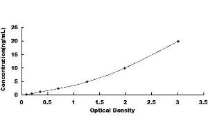 Typical standard curve (Claudin 6 ELISA 试剂盒)