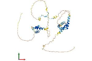 Protein Structure (PS) image for CUE Domain Containing 1 (CUEDC1) (AA 1-386) protein (His tag) (ABIN7546783)