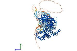 Protein Structure (PS) image for RAB GTPase Activating Protein 1-Like (RABGAP1L) (AA 1-815) protein (His tag) (ABIN7562010)