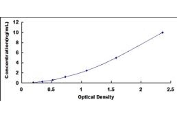 Septin 6 ELISA 试剂盒
