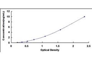 Typical standard curve (Septin 6 ELISA 试剂盒)