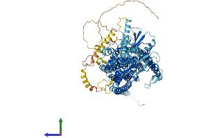 Protein Structure (PS) image for Anoctamin 4 (ANO4) (AA 1-955) protein (His tag) (ABIN7552186)