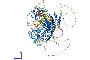 Protein Structure (PS) image for Ras Association and DIL Domains (Radil) (AA 1-1075) protein (His tag) (ABIN7555116)
