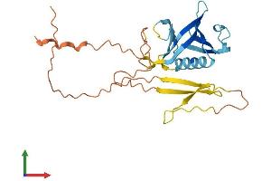 Protein Structure (PS) image for Pleckstrin Homology Domain Containing, Family B (Evectins) Member 1 (PLEKHB1) (AA 1-243) protein (His tag) (ABIN7550824)