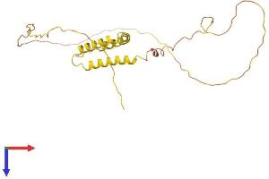 AlphaFold protein structure predicition of Human Recombinant TMEM40 Protein, UniprotID Q8WWA1