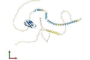 Protein Structure (PS) image for UPF3 Regulator of Nonsense Transcripts Homolog A (UPF3A) (AA 1-476) protein (His tag) (ABIN7555169)