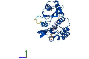 AlphaFold protein structure predicition of Human Recombinant DPH6 Protein, UniprotID Q7L8W6
