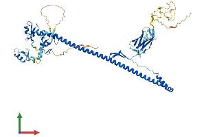 Protein Structure (PS) image for Tripartite Motif Containing 45 (TRIM45) (AA 1-580) protein (His tag) (ABIN7558070)