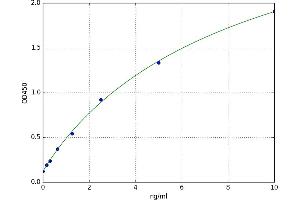 A typical standard curve