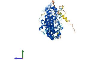 Protein Structure (PS) image for Ankyrin Repeat and SOCS Box Containing 14 (ASB14) (AA 1-587) protein (His tag) (ABIN7552427)