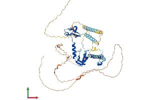 Protein Structure (PS) image for Cysteine-serine-Rich Nuclear Protein 2 (CSRNP2) (AA 1-534) protein (His tag) (ABIN7558572)