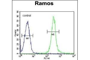 FA Antibody (N-term) (ABIN655330 and ABIN2844898) flow cytometric analysis of Ramos cells (right histogram) compared to a negative control cell (left histogram). (FAM133A 抗体  (N-Term))
