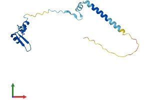 Protein Structure (PS) image for Ribosomal Protein L24 (RPL24) (AA 1-157) protein (His tag) (ABIN7558796)