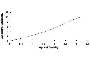 Typical Standard Curve (C4A ELISA 试剂盒)