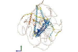 AlphaFold protein structure predicition of Mouse Recombinant Fmn1 Protein, UniprotID Q05860