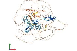 AlphaFold protein structure predicition of Human Recombinant MYPN Protein, UniprotID Q86TC9