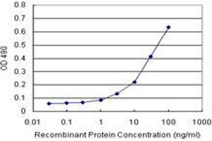 Sandwich ELISA detection sensitivity ranging from 3 ng/mL to 100 ng/mL. (GSTK1 (人) Matched Antibody Pair)