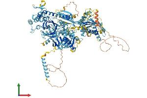 Protein Structure (PS) image for Ephrin A1 (EFNA1) (AA 1-1120) protein (His tag) (ABIN7553761)