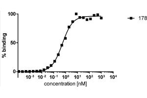 ELISA analysis of human HDAC6 by mouse monoclonal antibody 178. (HDAC6 抗体)