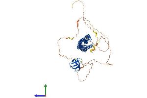 AlphaFold protein structure predicition of Human Recombinant BAIAP2 Protein, UniprotID Q9UQB8