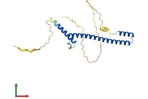 Protein Structure (PS) image for Hairy and Enhancer of Split 6 (HES6) (AA 1-224) protein (His tag) (ABIN7548265)