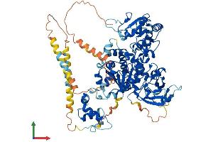 Protein Structure (PS) image for Mannosyl (Alpha-1,6-)-Glycoprotein beta-1,6-N-Acetyl-Glucosaminyltransferase, Isozyme B (MGAT5B) (AA 1-792) protein (His tag) (ABIN7554536)