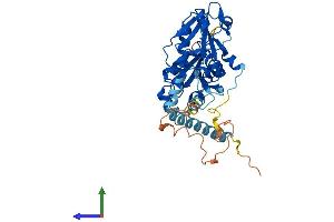 Protein Structure (PS) image for Phosphate Cytidylyltransferase 2, Ethanolamine (PCYT2) (AA 1-404) protein (His tag) (ABIN7560217)