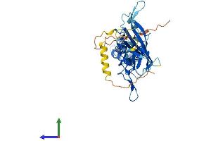 Protein Structure (PS) image for Potassium Inwardly-Rectifying Channel, Subfamily J, Member 10 (KCNJ10) (AA 1-379) protein (His tag) (ABIN7565120)