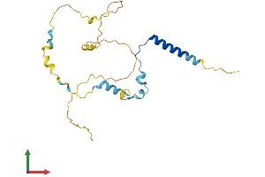 AlphaFold protein structure predicition of Mouse Recombinant Ift43 Protein, UniprotID Q9DA69