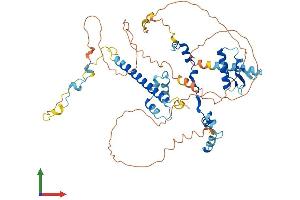 Protein Structure (PS) image for RAD21-Like 1 (RAD21L1) (AA 1-552) protein (His tag) (ABIN7561957)