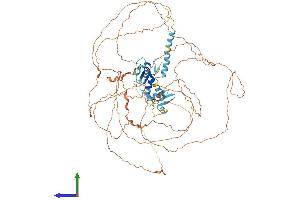 Protein Structure (PS) image for Zinc Finger Protein 828 (ZNF828) (AA 1-802) protein (His tag) (ABIN7564644)