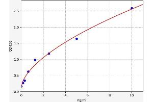 Typical standard curve (NDNF ELISA 试剂盒)