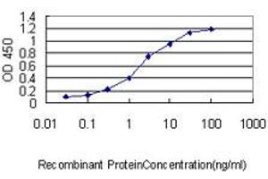 Detection limit for recombinant GST tagged AR is approximately 0. (Androgen Receptor 抗体  (AA 221-320))