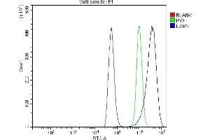 Flow Cytometry analysis of NRK cells using anti-IL1RA/Il1rn antibody (ABIN7601415).